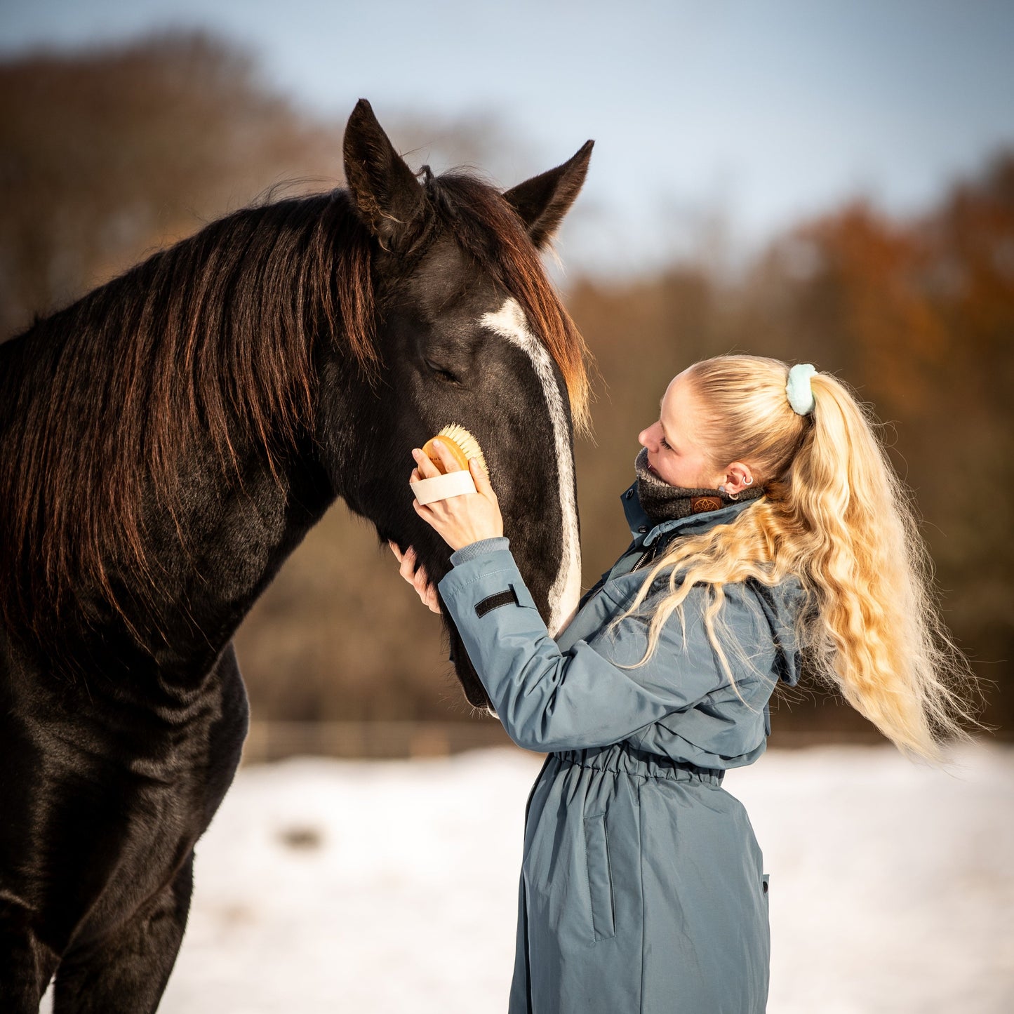 Die Kardätsche von Cappal wird hier von einer jungen blonden Frau in einem blaugrauen Wintermantel benutzt. Sie bürstet mit der Kardätsche liebevoll den Kopf ihres großen schwarzen Pferdes. Das Pferd genießt das Bürsten mit der Kardätsche und schließt die Augen. Die Szenerie ist eine verschwommene Schneelandschaft mit bräunlichen Bäumen im Hintergrund und einem blaugrauen Himmel.