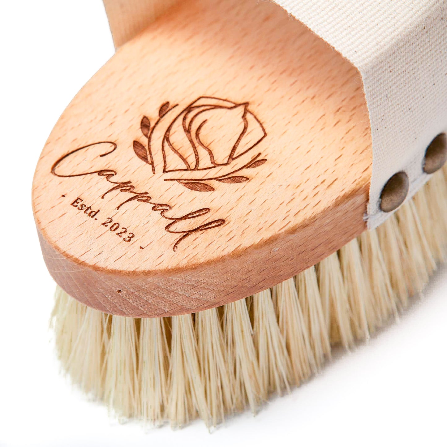 Von der Kardätsche für Pferde von Cappall ist hier nur die untere Hälfte des Buchenholzrückens zu sehen. Auf dem hellen Holz wurde das Cappall-Logo, ein minimalistisches, von Pflanzenranken umgebenes Pferdewappen, ausgelasert und hebt sich nun in einem dunkleren Braun vom Holz ab.