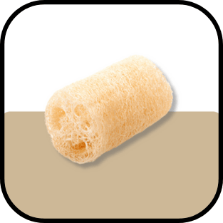 1_Sponge_selected