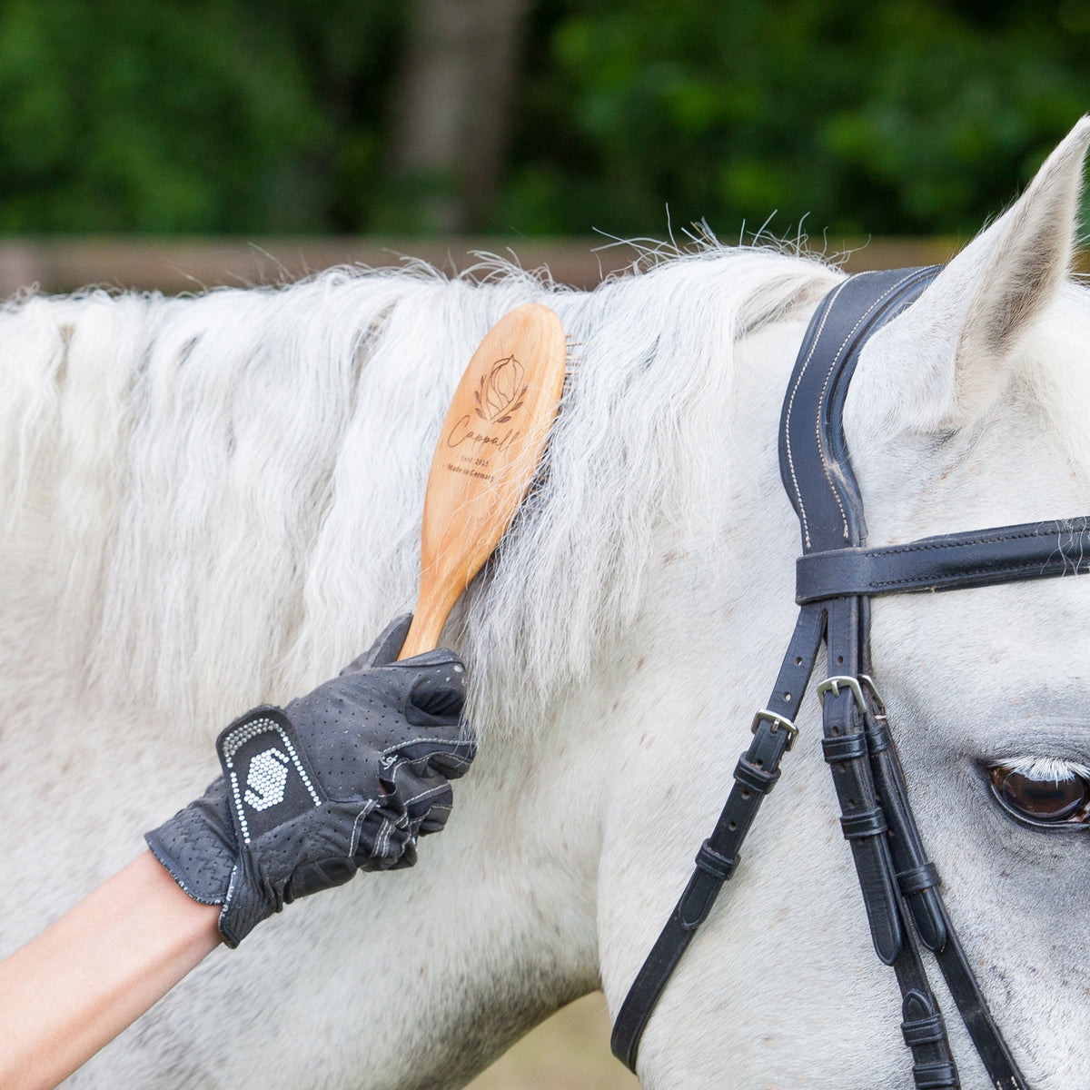 A woman in equestrian attire, wearing a black riding helmet and a beige fleece vest, brushes a white horse's neck in an outdoor stable setting.