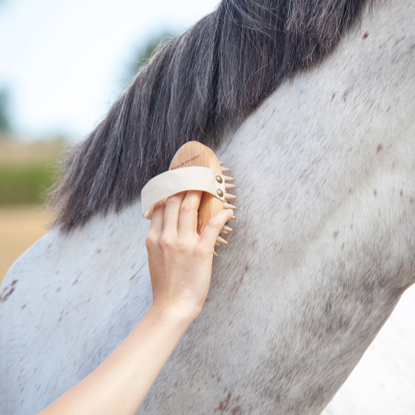 A close-up outdoor shot of a person grooming a dapple gray horse with a light-colored massage brush against a blurred natural background.