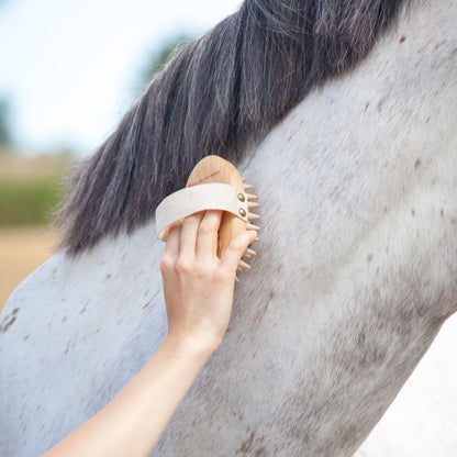 A close-up outdoor shot of a person grooming a dapple gray horse with a light-colored massage brush against a blurred natural background.